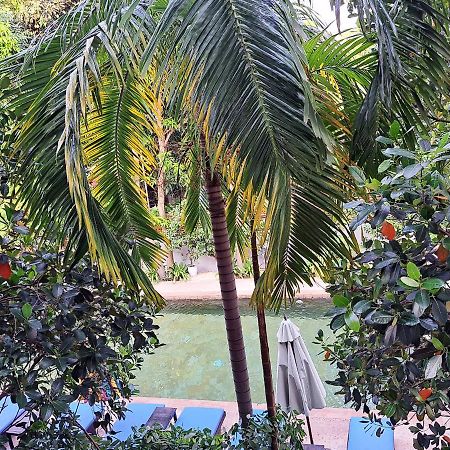 เดอะ โกลเดน เกกโค่ วิลลา Hotel เสียมราฐ ภายนอก รูปภาพ