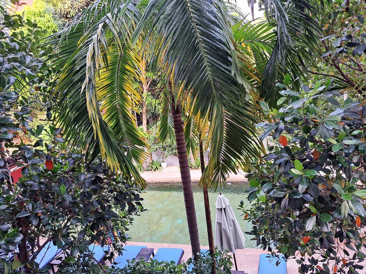 เดอะ โกลเดน เกกโค่ วิลลา Hotel เสียมราฐ ภายนอก รูปภาพ